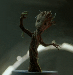 groot danse