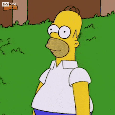 homer simpson