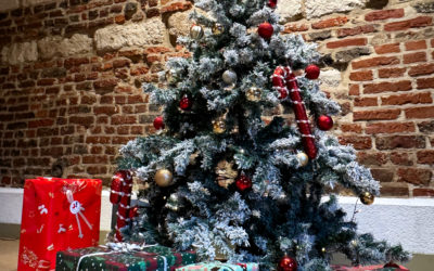 Le Noël magique de l&rsquo;ADN Family